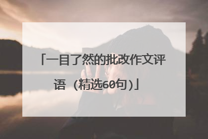 一目了然的批改作文评语 (精选60句)