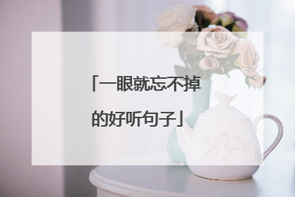 一眼就忘不掉的好听句子