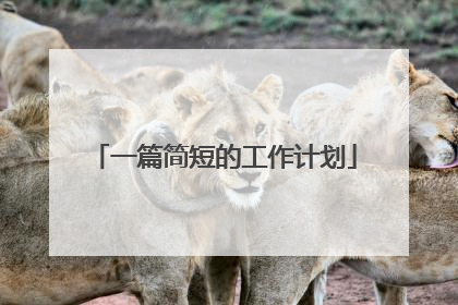 一篇简短的工作计划