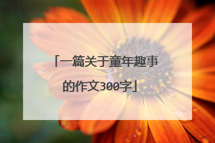 一篇关于童年趣事的作文300字