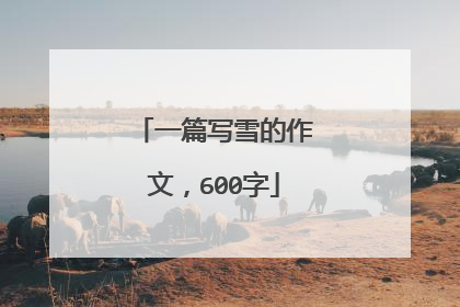 一篇写雪的作文,600字
