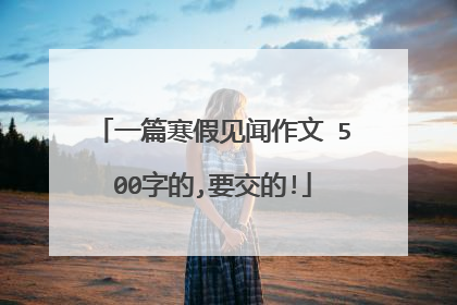 一篇寒假见闻作文 500字的,要交的!