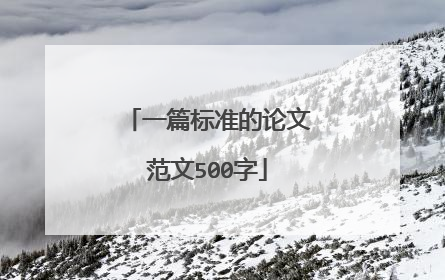 一篇标准的论文范文500字