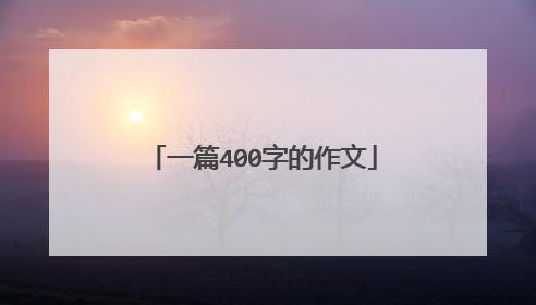 一篇400字的作文