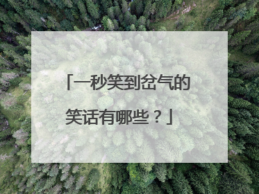 一秒笑到岔气的笑话有哪些?