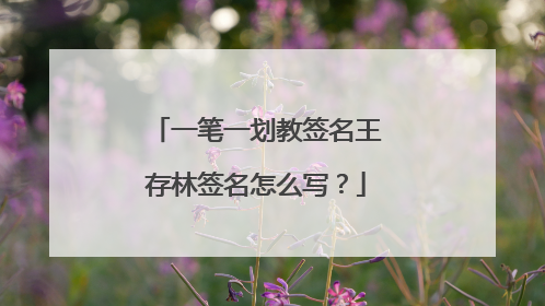 一笔一划教签名王存林签名怎么写？