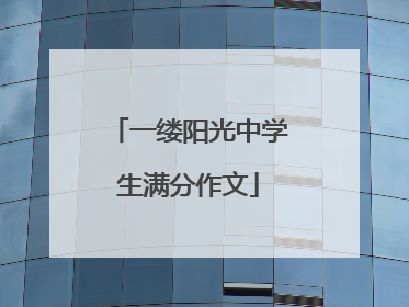 一缕阳光中学生满分作文
