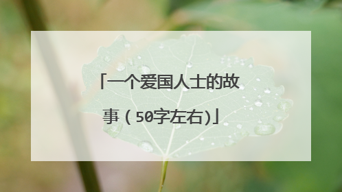 一个爱国人士的故事（50字左右)