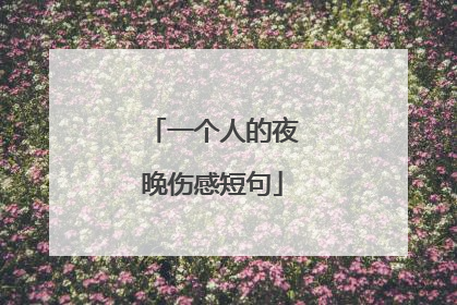 一个人的夜晚伤感短句