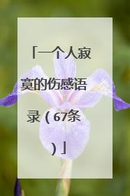 一个人寂寞的伤感语录(67条)