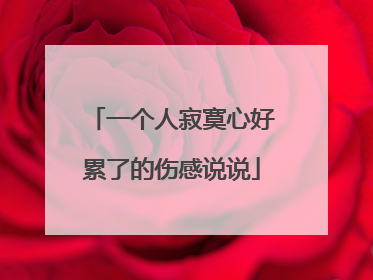 一个人寂寞心好累了的伤感说说