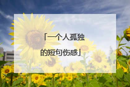 一个人孤独的短句伤感