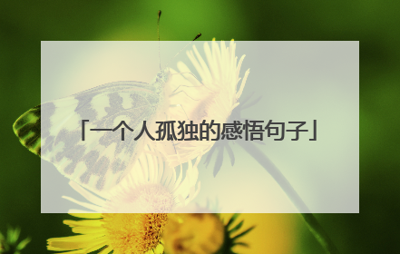 一个人孤独的感悟句子