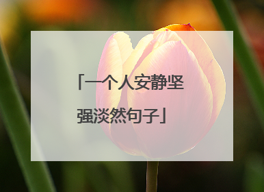 一个人安静坚强淡然句子