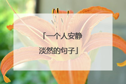 一个人安静淡然的句子