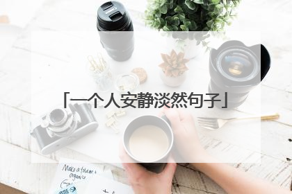 一个人安静淡然句子