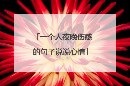 一个人夜晚伤感的句子说说心情