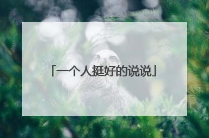 一个人挺好的说说