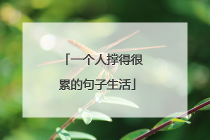 一个人撑得很累的句子生活