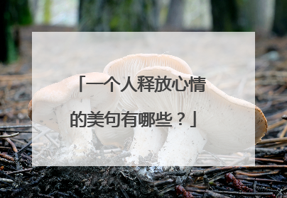 一个人释放心情的美句有哪些？