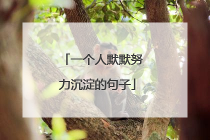 一个人默默努力沉淀的句子