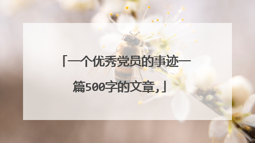 一个优秀党员的事迹一篇500字的文章,