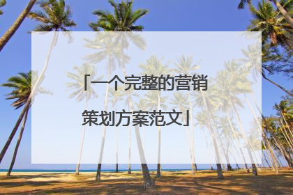 一个完整的营销策划方案范文