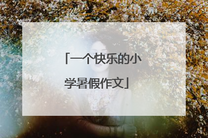 一个快乐的小学暑假作文