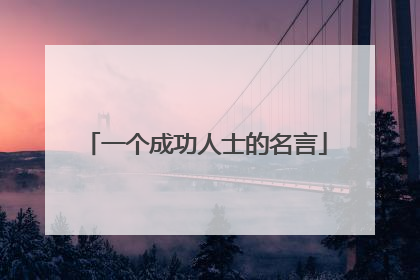一个成功人士的名言