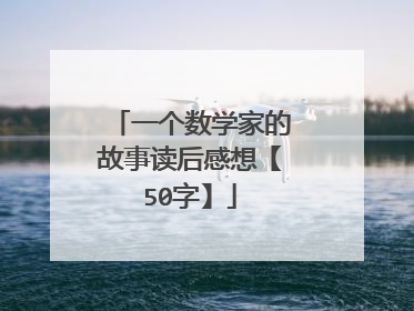 一个数学家的故事读后感想【50字】