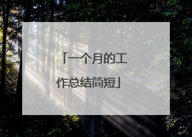 一个月的工作总结简短