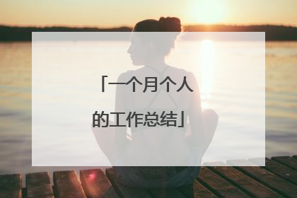 一个月个人的工作总结