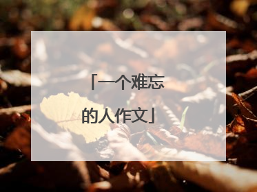一个难忘的人作文