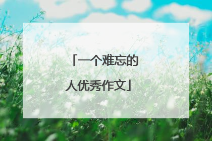 一个难忘的人优秀作文