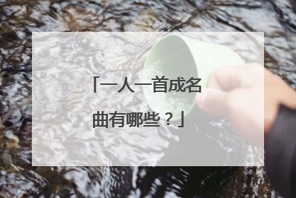 一人一首成名曲有哪些？
