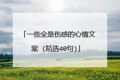 一些全是伤感的心情文案 (精选40句)
