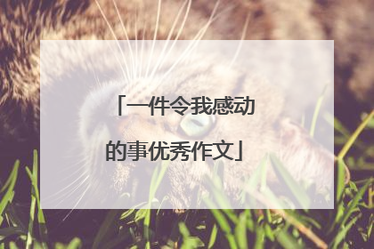 一件令我感动的事优秀作文