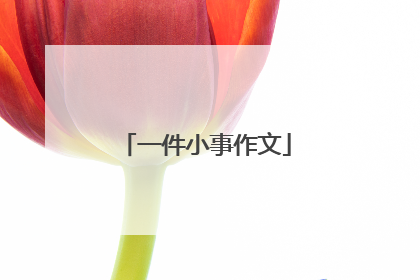 一件小事作文