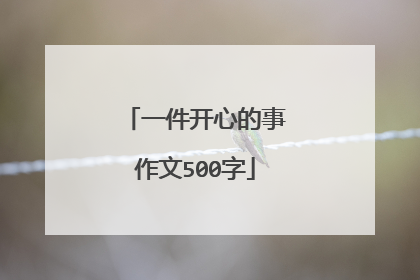一件开心的事作文500字