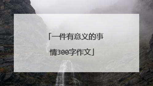 一件有意义的事情300字作文