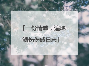一份情感，遍地鳞伤伤感日志