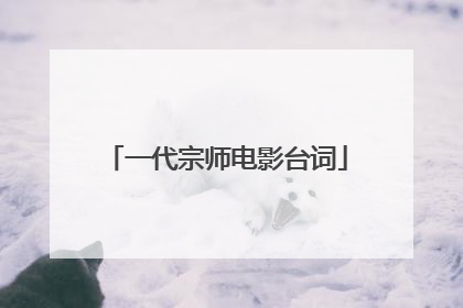 一代宗师电影台词