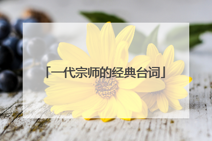 一代宗师的经典台词