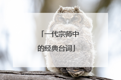 一代宗师中的经典台词