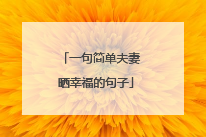 一句简单夫妻晒幸福的句子