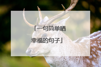 一句简单晒幸福的句子