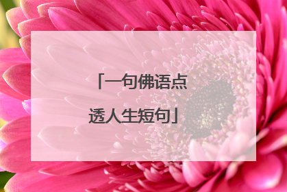 一句佛语点透人生短句