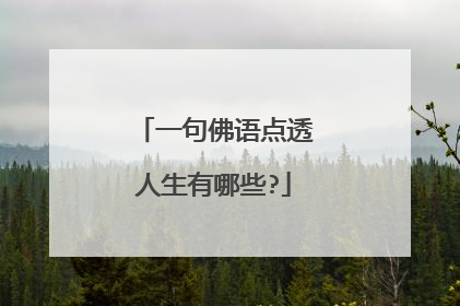 一句佛语点透人生有哪些?