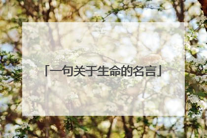 一句关于生命的名言