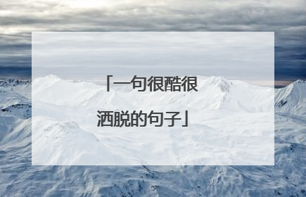一句很酷很洒脱的句子